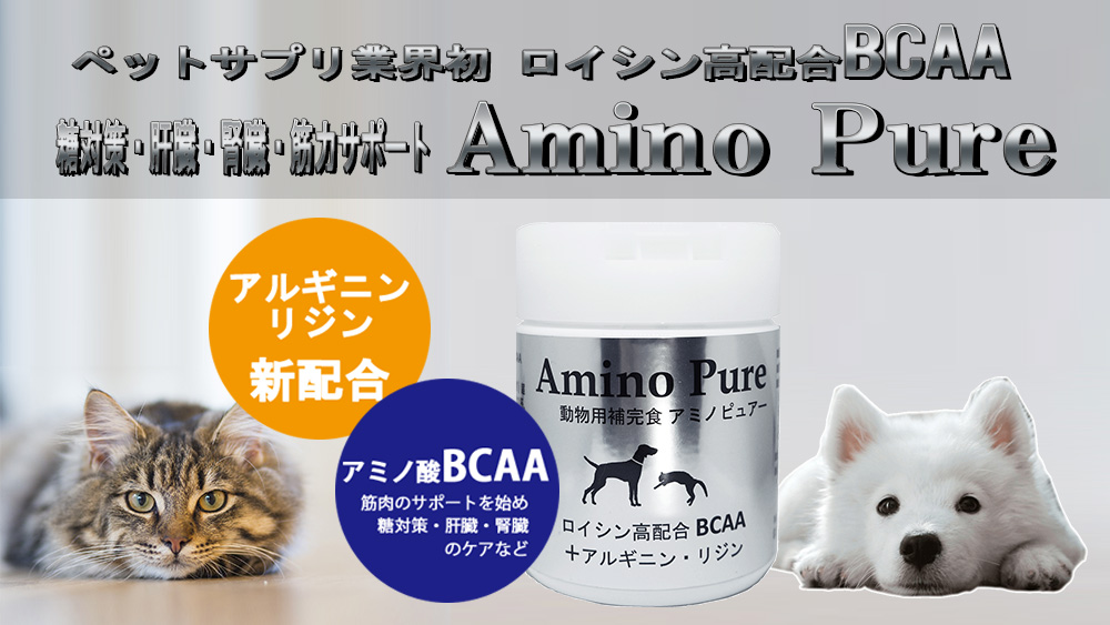 480円 女性が喜ぶ♪ 犬 猫 BCAA アミノ酸 サプリ サプリメント 腎臓 療法食 腎臓ケア タンパク質制限 栄養補給 筋力 筋肉 健康維持 アミノファイン25g