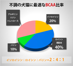 アミノピュアー説明2