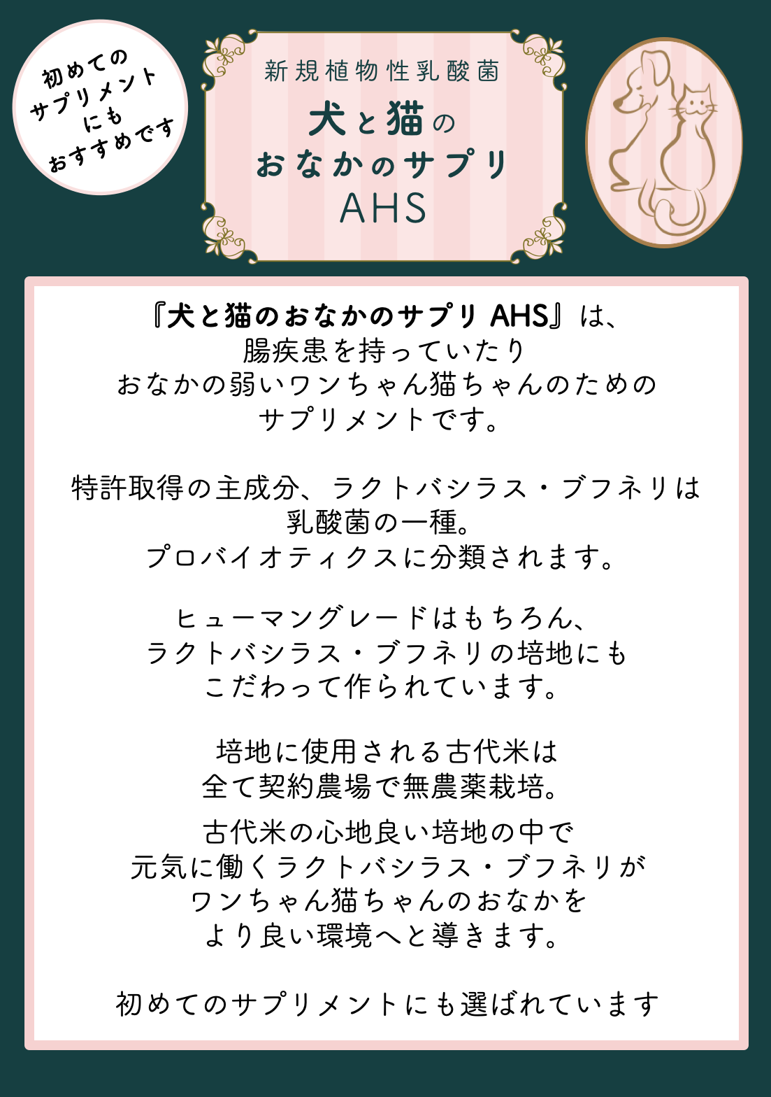 特許取得の乳酸菌でお腹も元気 犬と猫のおなかのサプリahs 100粒