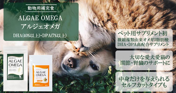 犬猫用サプリメント ALGAE OMEGA アルジェオメガ 116粒