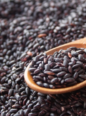 現代のお米に比べ栄養価が高い古代米：紫黒米